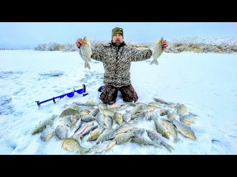 Видео: Отморозил пальцы , но холодные лунки не отпускают! РОЗЫГРЫШ! Рыбалка 2021 зимой на хапугу.