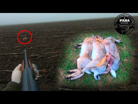 Видео: Охота на зайца. Сезон 2021-2022. Охота по чернотропу. Почти ПРОМАЗАЛ В УПОР. Пятый выход.