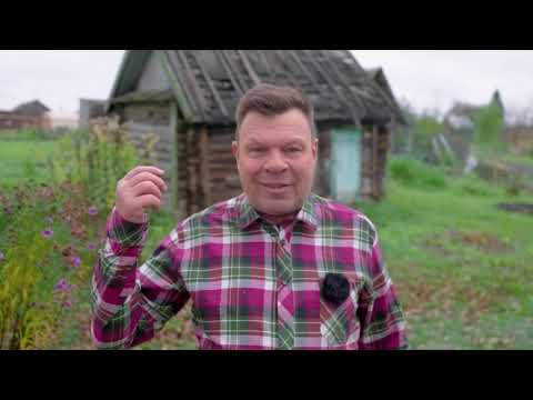 Видео: 280-й выпуск "В кольце друзей"