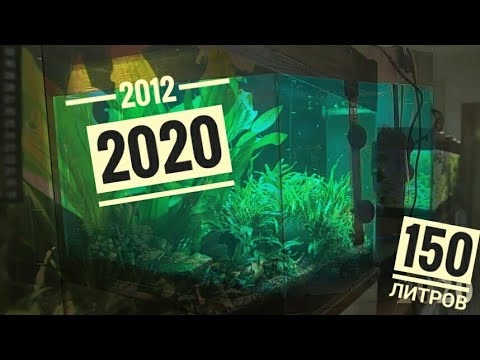 Видео: Жизнь в аквариуме на 150 литров 2012-2020 год