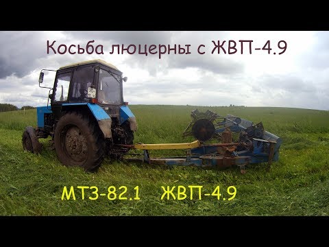 Видео: Косьба люцерны с ЖВП-4.9  МТЗ-82.1