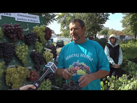 Видео: "Янтарная гроздь винограда" и "Дары земли Полесской". Праздник трудолюбивых полешуков