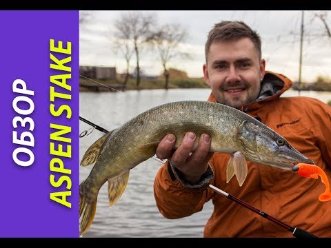 Видео: Спиннинг для начинающих: обзор Aspen Stake [Crazy Fish]