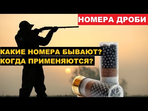 Видео: 💥НОМЕРА ДРОБИ, КАРТЕЧИ И ИХ ПРИМЕНЕНИЕ. НА ОХОТЕ.