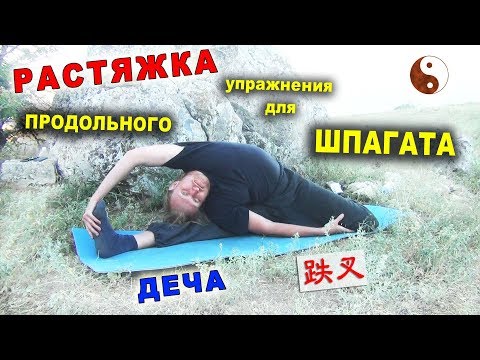 Видео: РАСТЯЖКА для продольного шпагата. Круг ДЕЧА (跌叉). Тайцзи Ветер-Гром