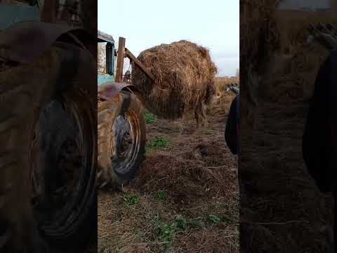 Видео: Изготовление самодельного погрузчика рулонов сена ,.