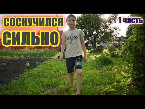 Видео: ЗАБРАЛИ СЫНОЧКА У БАБУШКИ ИЗ ДЕРЕВНИ | ЛЮБУЕМСЯ СЕЛЬСКИМИ КРАСОТАМИ | ТРУДИМСЯ НА ЗЕМЛЕ