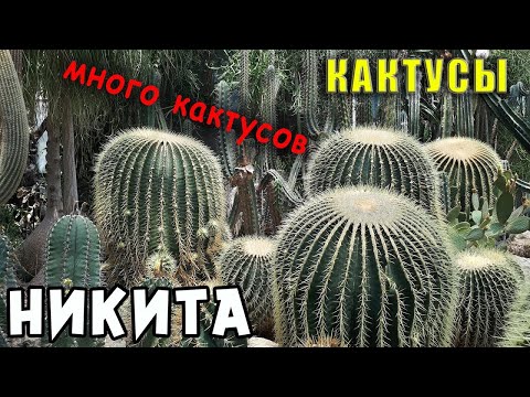Видео: Крым Парк Монтедор. Райский Сад и Кактусовая оранжерея в посёлке Никита.