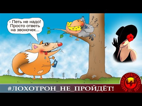 Видео: Микс разговоров с мошенниками от нового автора. (Премьера автора Лилёлии).