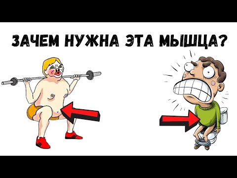Видео: Зачем нужна эта мышца живота? -  ПОПЕРЕЧНАЯ