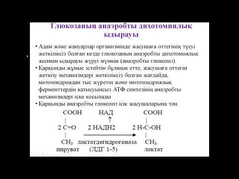 Видео: Көмірсулар алмасуы 1