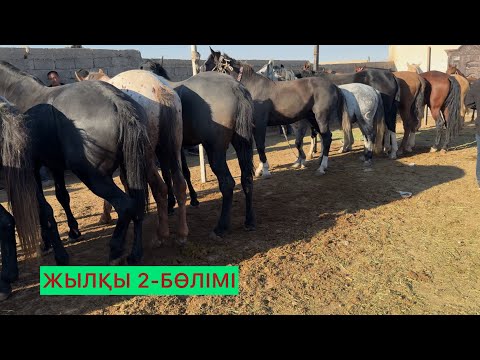 Видео: Жылқы 2-Бөлім 08.10.25ж.