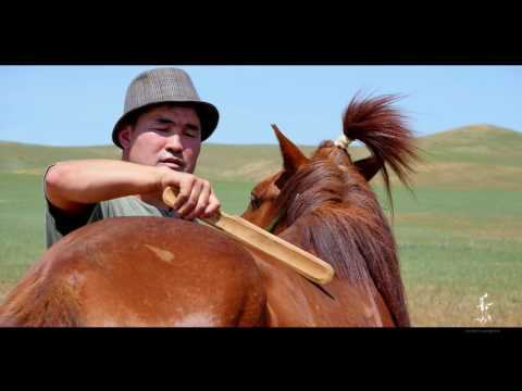 Видео: Босоо цагаан хийморь - Ю.Энхбаатар    Bosoo tsagaan hiimori - Enhbaatar
