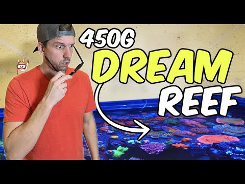 Видео: Высококлассный аквариум для коралловых рифов объемом 450 галлонов, занимающий целую комнату!