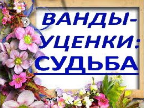 Видео: ВАНДЫ-уценки:ЧТО СЛУЧИЛОСЬ за 5 месяцев.Орхидеи.Орхидея ванда.