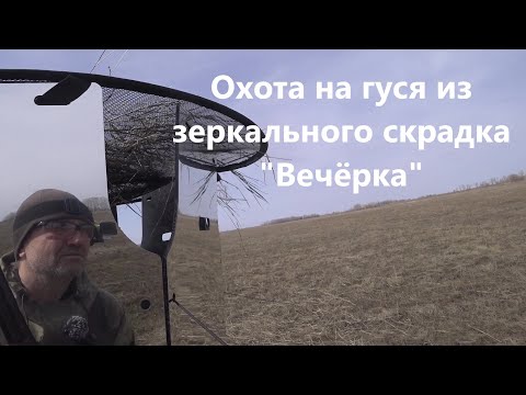Видео: Охота на гуся из зеркального скрадка - Вечёрка