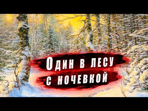 Видео: Один!! в зимнем  лесу с ночевкой - Нива в помощь ч 1