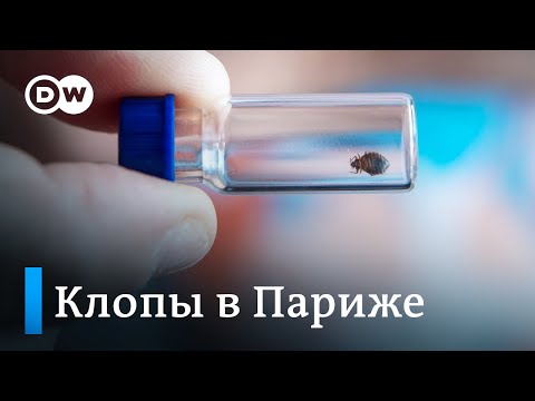 Видео: Постельные клопы атакуют Париж