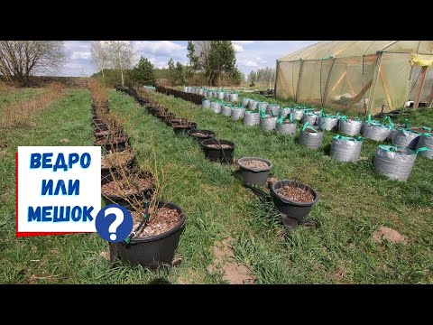 Видео: Какой контейнер лучше