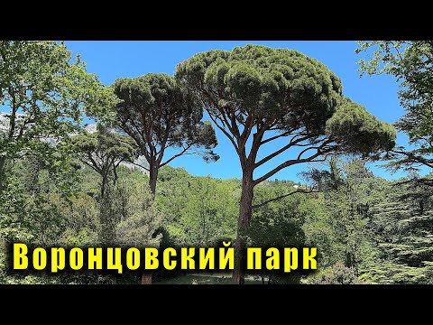 Видео: Крым, Алупка, Воронцовский парк. Разочаровало кафе на пляже. Тайна старинного фонтана. Обзор пляжей