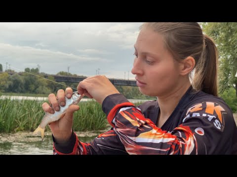 Видео: ВИРИВАЄ З РУКИ ФІДЕР🎣Ловлю на кукурудзу! Початок ходу плотви..