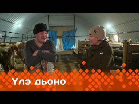 Видео: «Үлэ дьоно» (30.01.24)