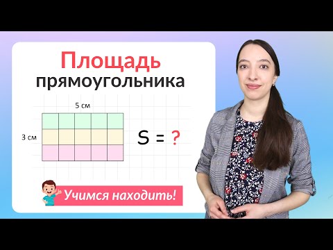 Видео: Площадь прямоугольника. Как найти площадь прямоугольника?