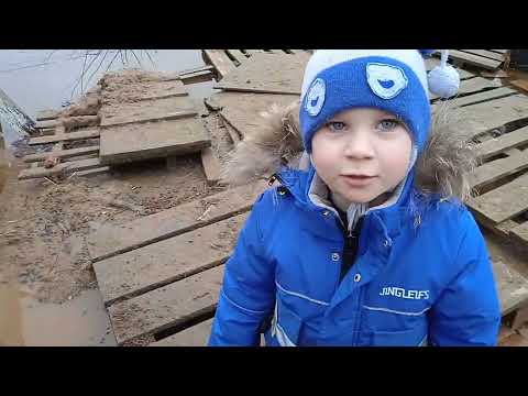 Видео: Жизнь в деревне Прикольные внуки У нас в гостях Собралась видоизмениться.