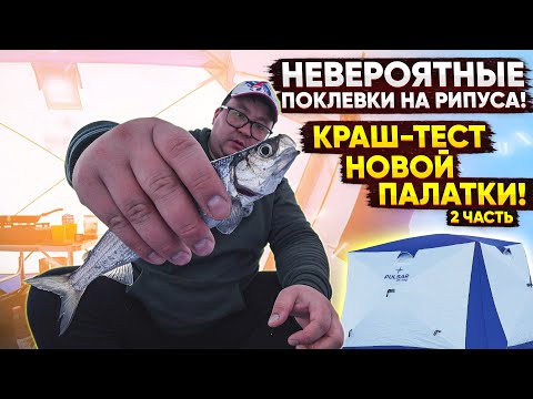 Видео: КРАШ-ТЕСТ НОВОЙ ПАЛАТКИ PULSAR. Весенняя раздача рипуса на Тургояке. Часть 2