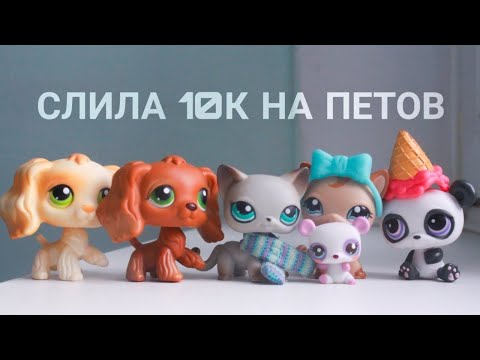 Видео: LPS: СЛИЛА 10K НА ПЕТОВ (почти)