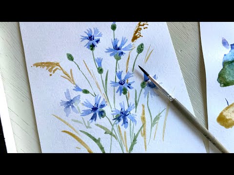 Видео: Рисуем васильки акварелью. Поэтапный рисунок. Если никого не рисовал