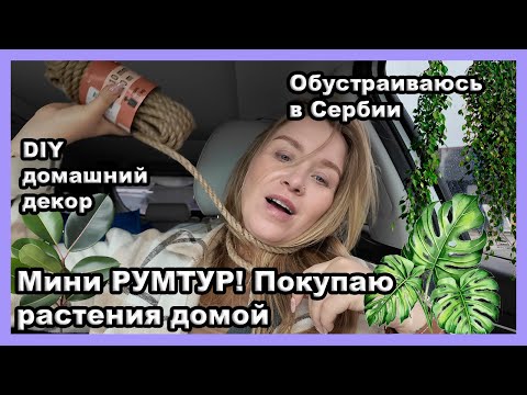 Видео: МИНИ РУМТУР: Обустраиваю дом, декор DIY, покупаю растения