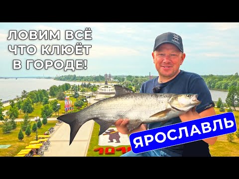 Видео: РЫБАЛКА С ЛОДКИ В ЯРОСЛАВЛЕ - ОТКРЫТИЕ СЕЗОНА 2025