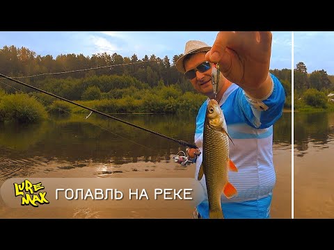 Видео: Рыбалка с новыми воблерами.  Ловлю голавля