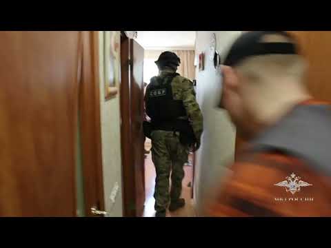 Видео: Ирина Волк: В Санкт-Петербурге полицейские перекрыли крупный канал нелегальной миграции