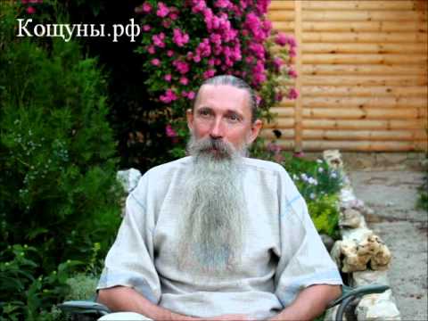 Видео: Ответы А. В. Трехлебова на вопросы читателей. Июнь 2012