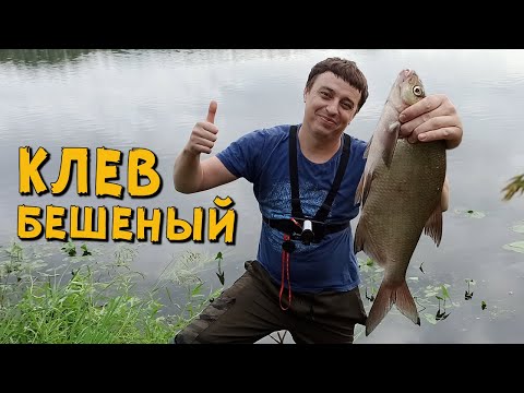 Видео: КРУПНЫЙ ЛЕЩ НА ДОНКУ! БЕШЕНЫЙ КЛЕВ ЛЕЩА НА САЛО! РЫБАЛКА НА ОКЕ 2021. Ловля леща на сало