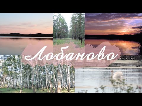 Видео: ЛОБАНОВО - северо-казахстанская область