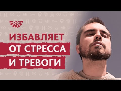 Видео: Медитация для начинающих: как быстро успокоиться и избавиться от стресса💢Быстрый способ расслабиться