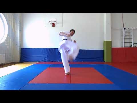 Видео: Тренируемся дома 9, уширо-маваши-гери + связки.