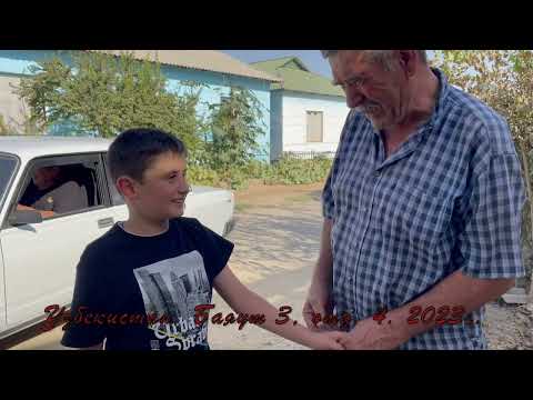 Видео: Узбекистан, Баяут 3, отд. 4. 2023г.