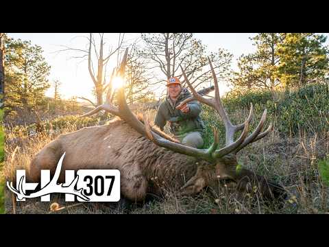 Видео: Охота на быка-оленя 2025 года (самый большой бык Блейка на сегодняшний день!)