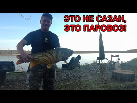 Видео: ЭТО НЕ САЗАН, ЭТО ПАРОВОЗ! ОСЕННЯЯ РЫБАЛКА НА ДОНКИ НА РЕКЕ ОБЬ.