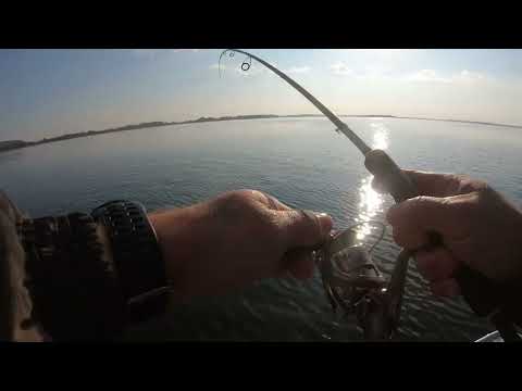 Видео: НАШЕЛ ЛОГОВО ЖЕРЕХА!О ТАКОЙ РЫБАЛКЕ МОЖНО МЕЧТАТЬ!