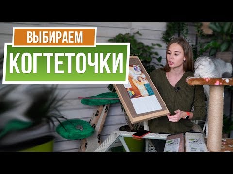 Видео: Обзор Всех Когтеточек  для Кошек ✔️ Какую выбрать когтеточку