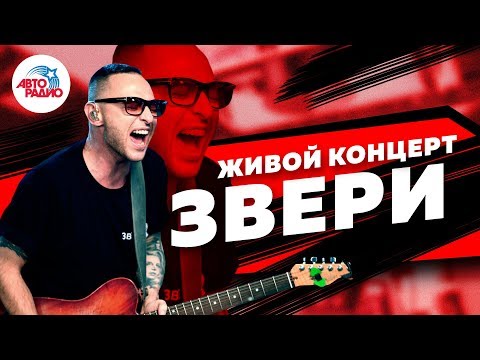 Видео: Живой концерт группы "Звери" на Авторадио (2019)