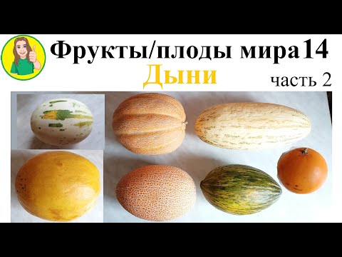 Видео: Фрукты   плоды мира 14 – Дыни часть 2 Сыроедение Фрукторианство