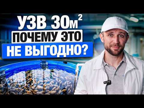 Видео: Неудобная ПРАВДА. Мини УЗВ это Деньги на ВЕТЕР?! Почему Фермы в Гараже так Часто ЗАКРЫВАЮТСЯ?!