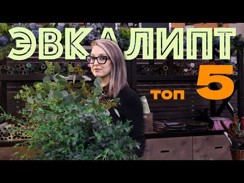 Видео: Почему эвкалипт - must-have в каждом букете?