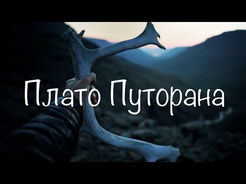 Видео: Плато Путорана